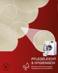 ornament-waschen-champ.jpg