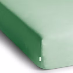 amber-mint-2.jpg amber-mint-2.jpg