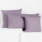 Violett-flieder