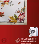 2527-waschen.jpg