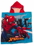 spider-1.jpg