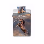 horses-003-1.jpg
