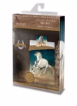 horses-001-1.jpg