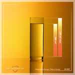 101497-P6-F3-GOLD-kopia.jpg