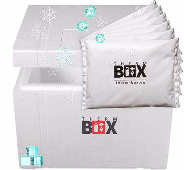 THERM BOX Styroporbox 53W mit 6x Kühlakku für Kühlbox 53,2L Innen 47x38x29cm Transportbox Thermbehälter Wiederverwendbar