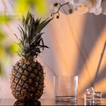 101776-F2-F4-Ambiente.jpg