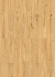 65253-DK8287F05-1290-173-4V-4027-Elben-Oak-1S-FLO.jpg