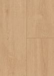 65157-DK8299F15-1290-246-4V-4004-Elben-Oak-Extears-1S-DET.jpg
