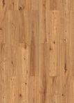 65161-DK8229F01-1290-203-4V-4001-Coca-Oak-1S-FLO.jpg