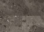 65192-DK8194F02-780-398-4V-WL-Savana-FL-DET.jpg