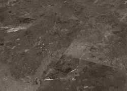 65192-DK8194F02-780-398-4V-WL-Savana-FL-3D.jpg 65192-DK8194F02-780-398-4V-WL-Savana-FL-3D.jpg