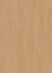66956-4216-1285-192-4V-4027-Cheyenne-beige-1S-FLO.jpg