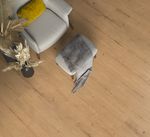62971-6541-1790-241-4V-4030-Sheldon-Oak-nature-1S-77094-A.jpg