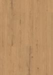62971-6541-1790-241-4V-4030-Sheldon-Oak-nature-1S-FLO.jpg
