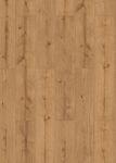 63368-DK8288F06-1290-246-4V-4000-Sheldon-Oak-1S-FLO.jpg