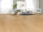 63369-DK8299F04-1290-246-4V-4004-Elben-Oak-Extears-1S-04044-A.jpg