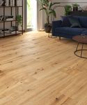 63371-DK8229F06-1290-246-4V-4001-Coca-Oak-1S-03042-A.jpg