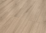 63677-4073-1286-192-4V-4004-Old-Castle-Oak-nature-1S-3D.jpg