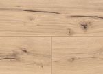 63686-4096-1285-192-4V-4004-Stone-Oak-light-grey-1S-DET.jpg