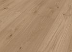 65215-DK8497F02-1290-246-4V-4037-Brendan-Oak-1S-3D.jpg