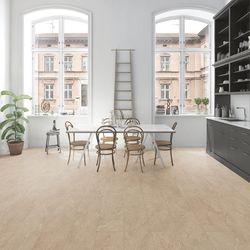 65288-4157-604-280-4V-4004-Atlantic-Coast-beige-FL-77171-A.jpg 65288-4157-604-280-4V-4004-Atlantic-Coast-beige-FL-77171-A.jpg