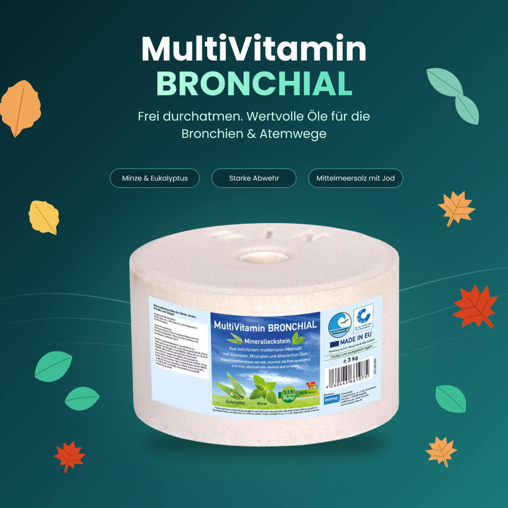 multivitamin-bronchial-mineralleckstein