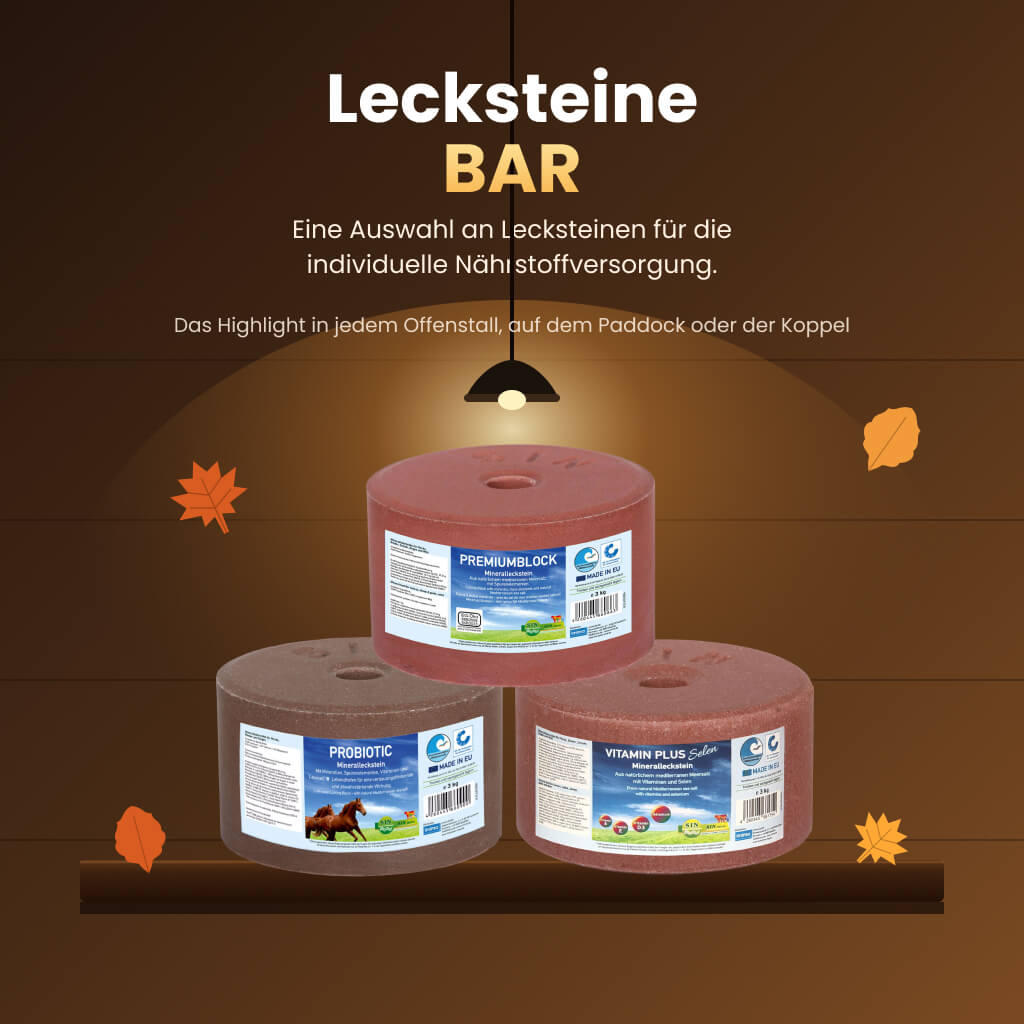lecksteine-bar