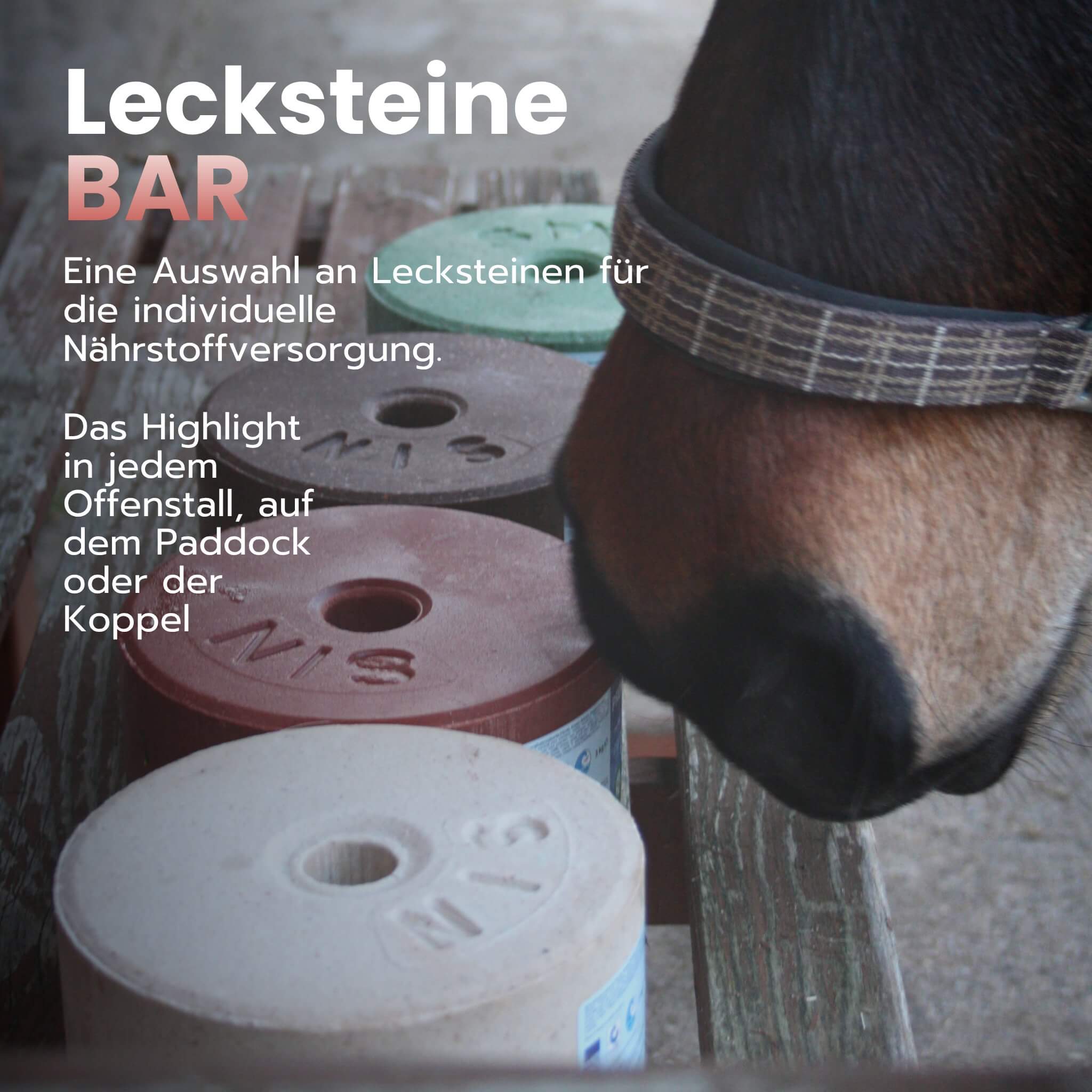 lecksteine-bar