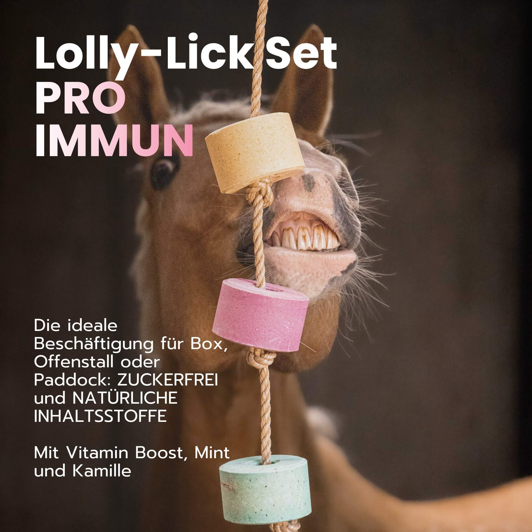 Lolly Lick Set Pro Immun