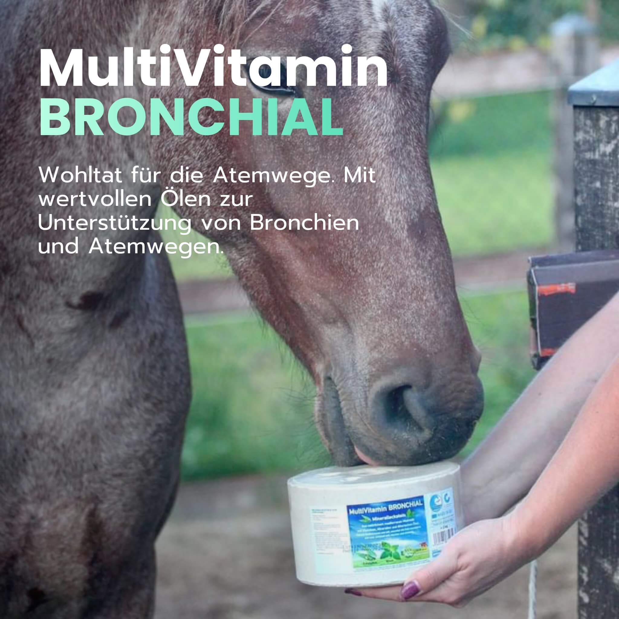 multivitamin-bronchial-mineralleckstein