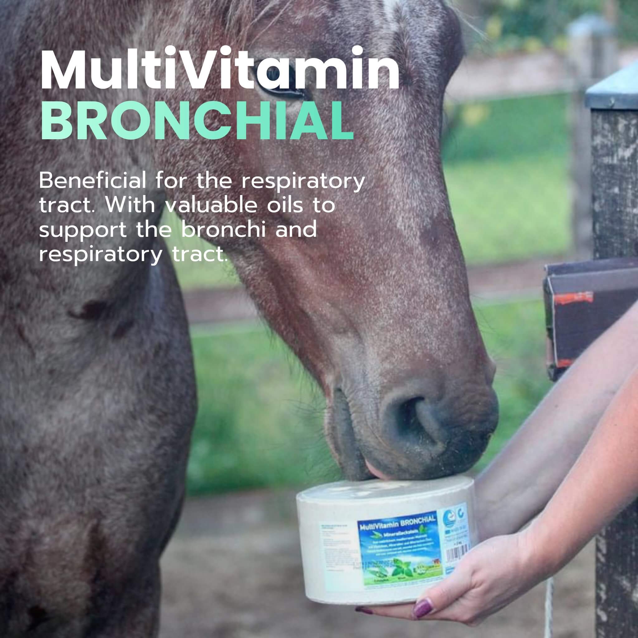multivitamin-bronchial-mineralleckstein